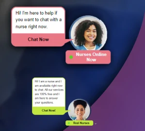 portfolio-chat-widget